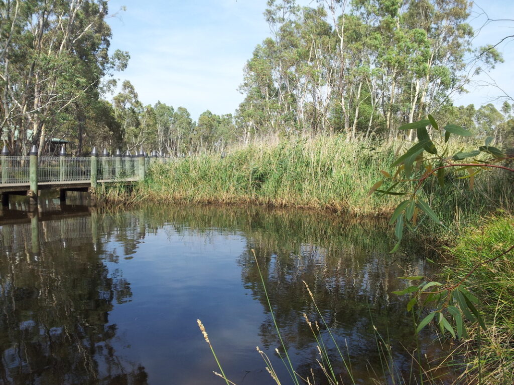 Importance of Wetlands to The Environment | Threats to wetlands