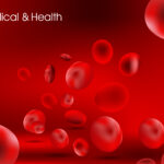 Importance of Blood